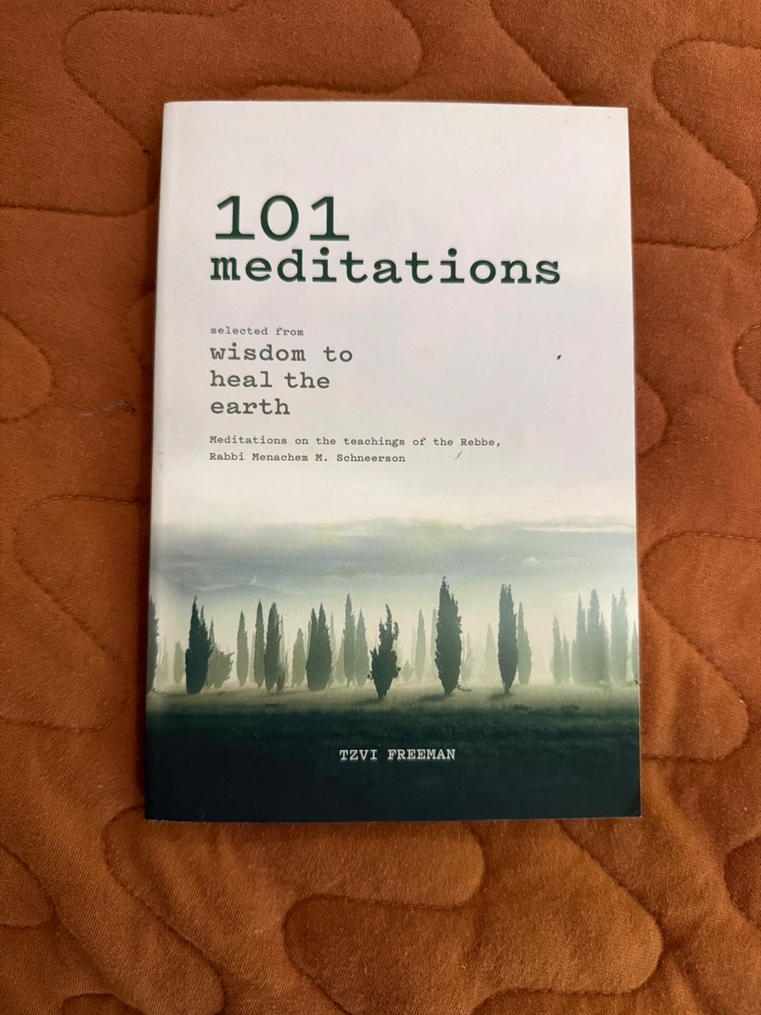 101 Meditations to Wisdom to Heal the Earth Book - photo 2
