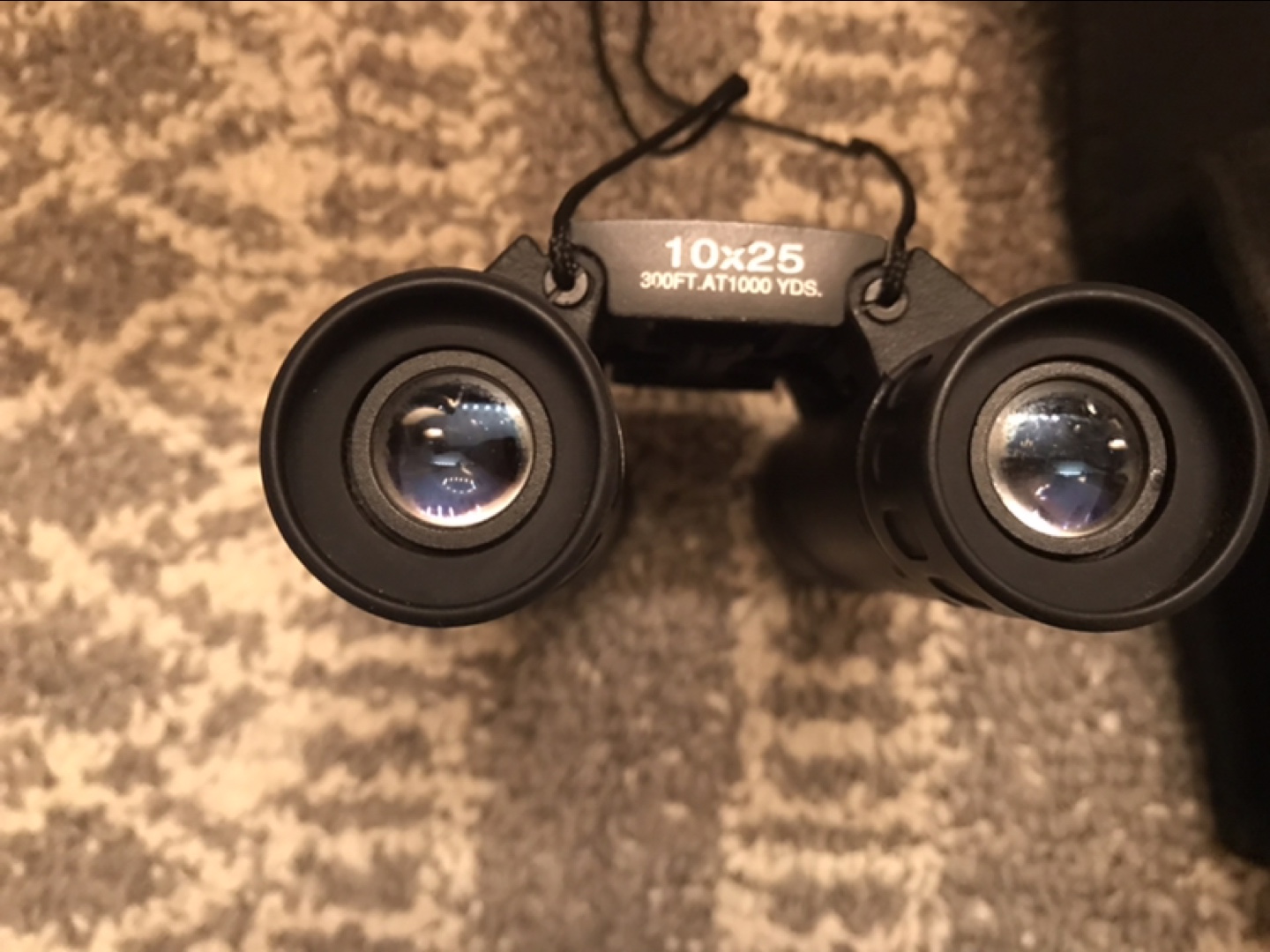 Bushnell 10x25 Binoculars with Case