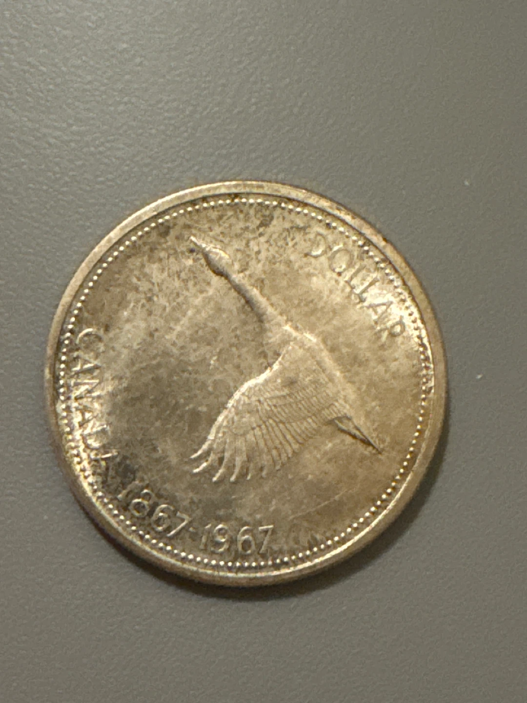 1967 Canada Dollar Coin clean no damage good condition