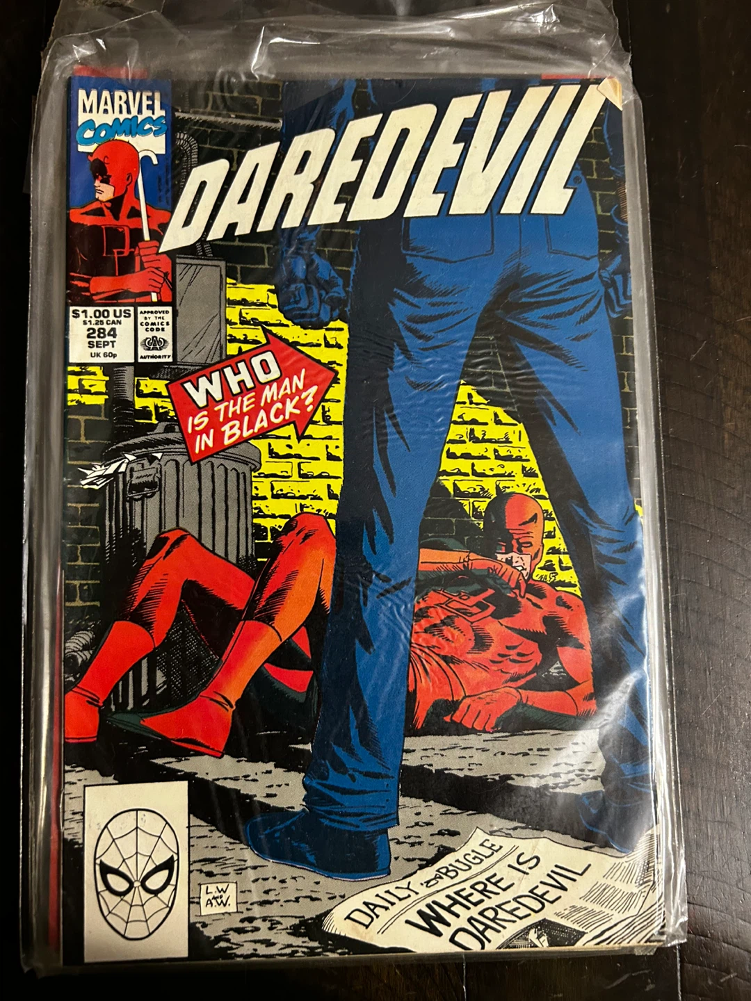 Marvel & DC Comics Lot: Punisher & Catwoman - photo 5