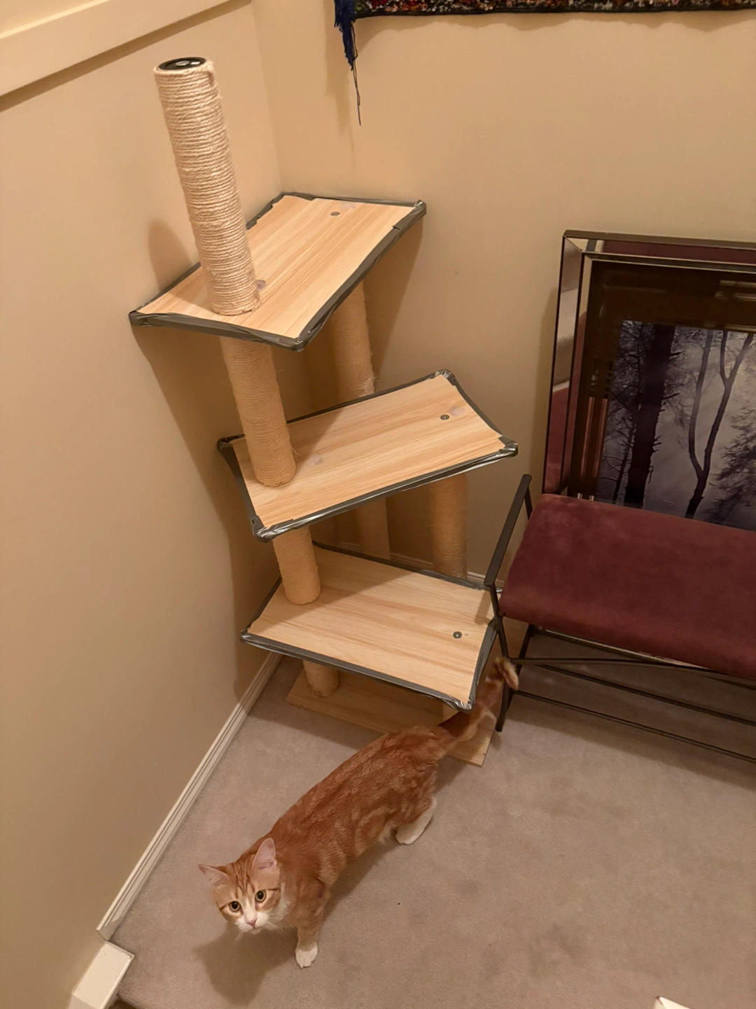 Multi-level Cat Tree with Scratching Posts - photo 3