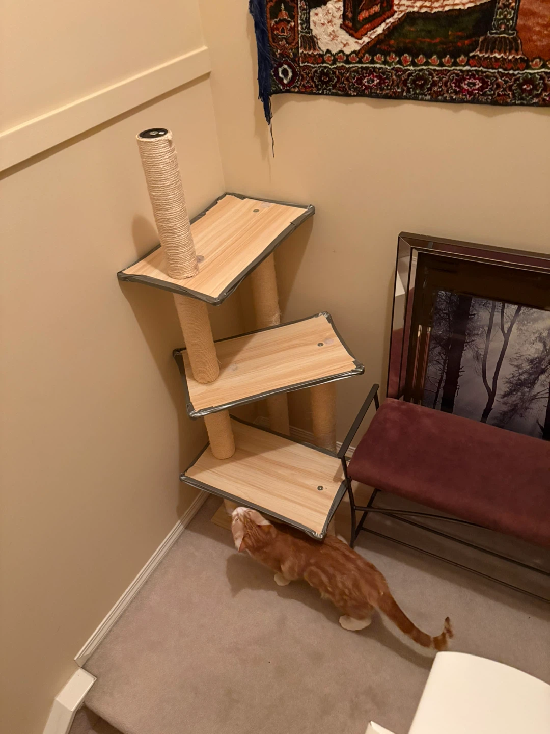 Multi-level Cat Tree with Scratching Posts - photo 4