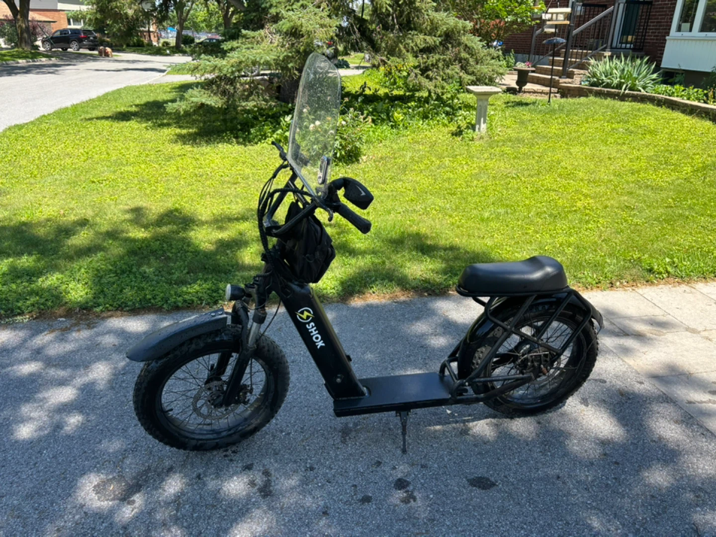 Ebike/Escooter Hybrid