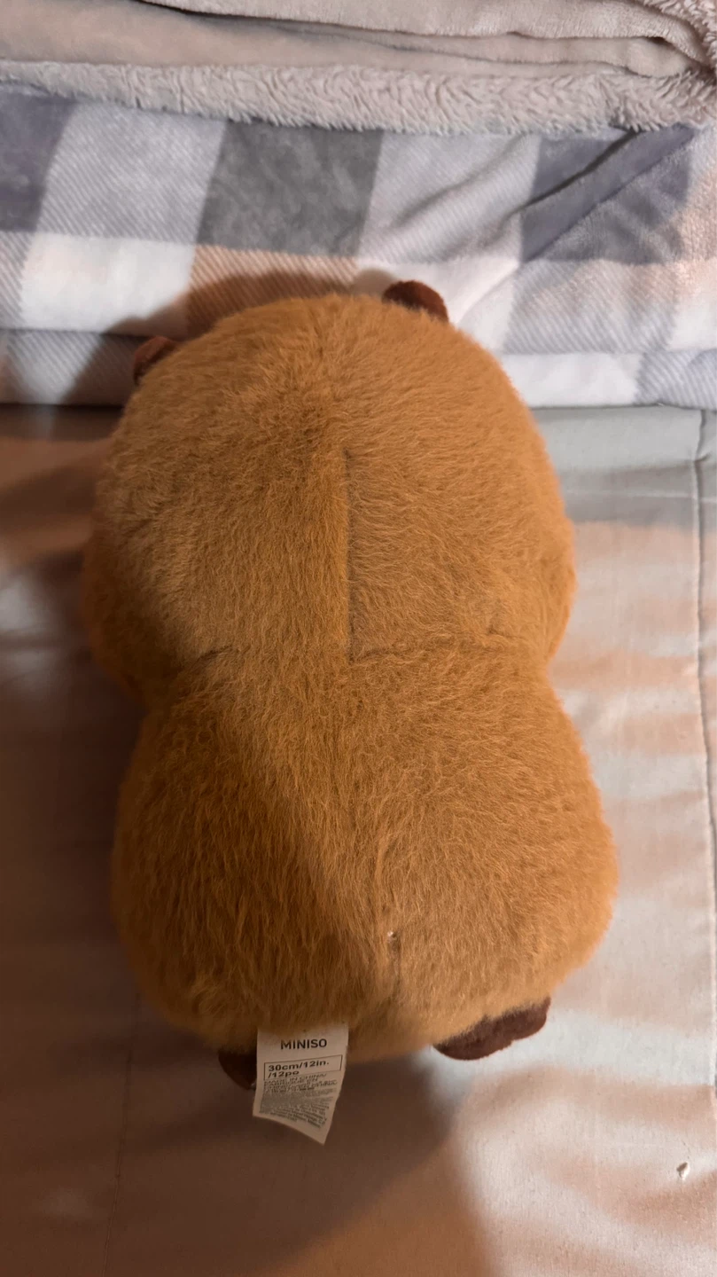 MINISO Capybara Plush with Flower - photo 2