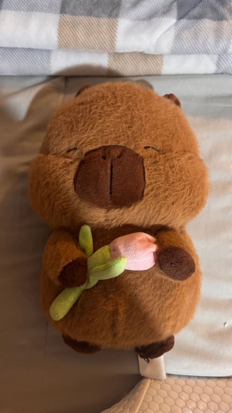 MINISO Capybara Plush with Flower