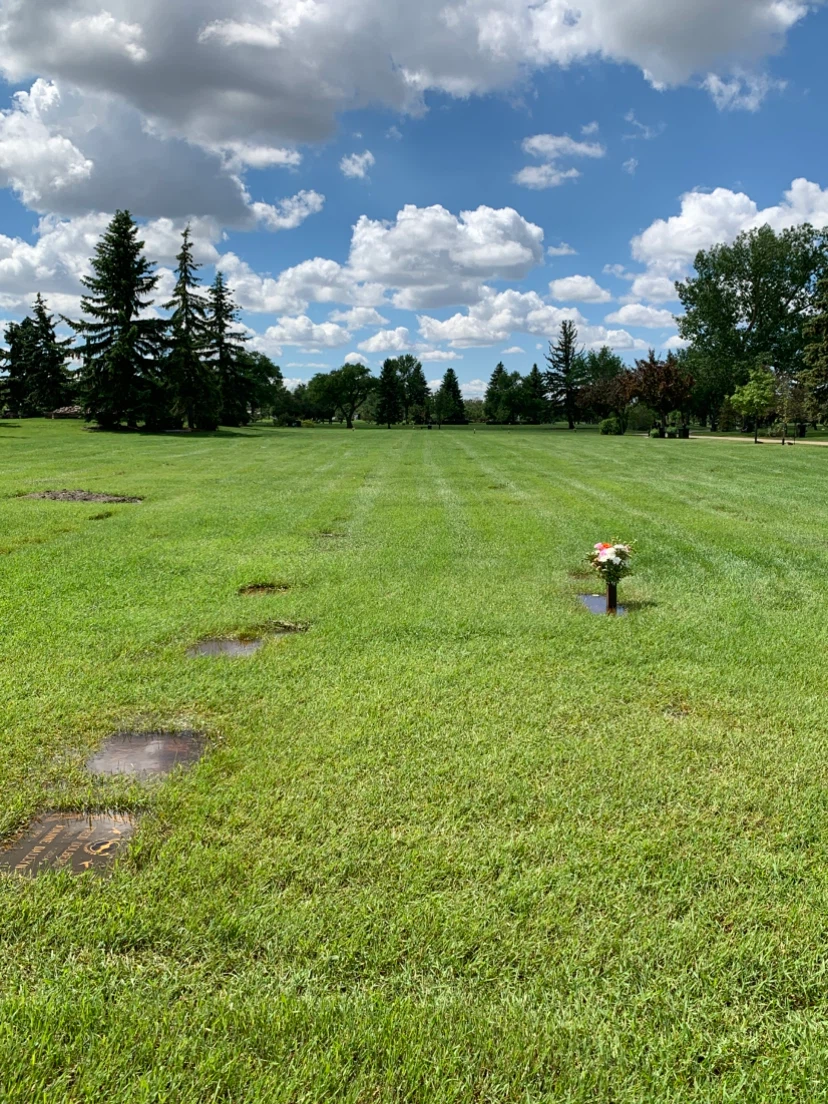 Cemetery plots 1-8 available - photo 4