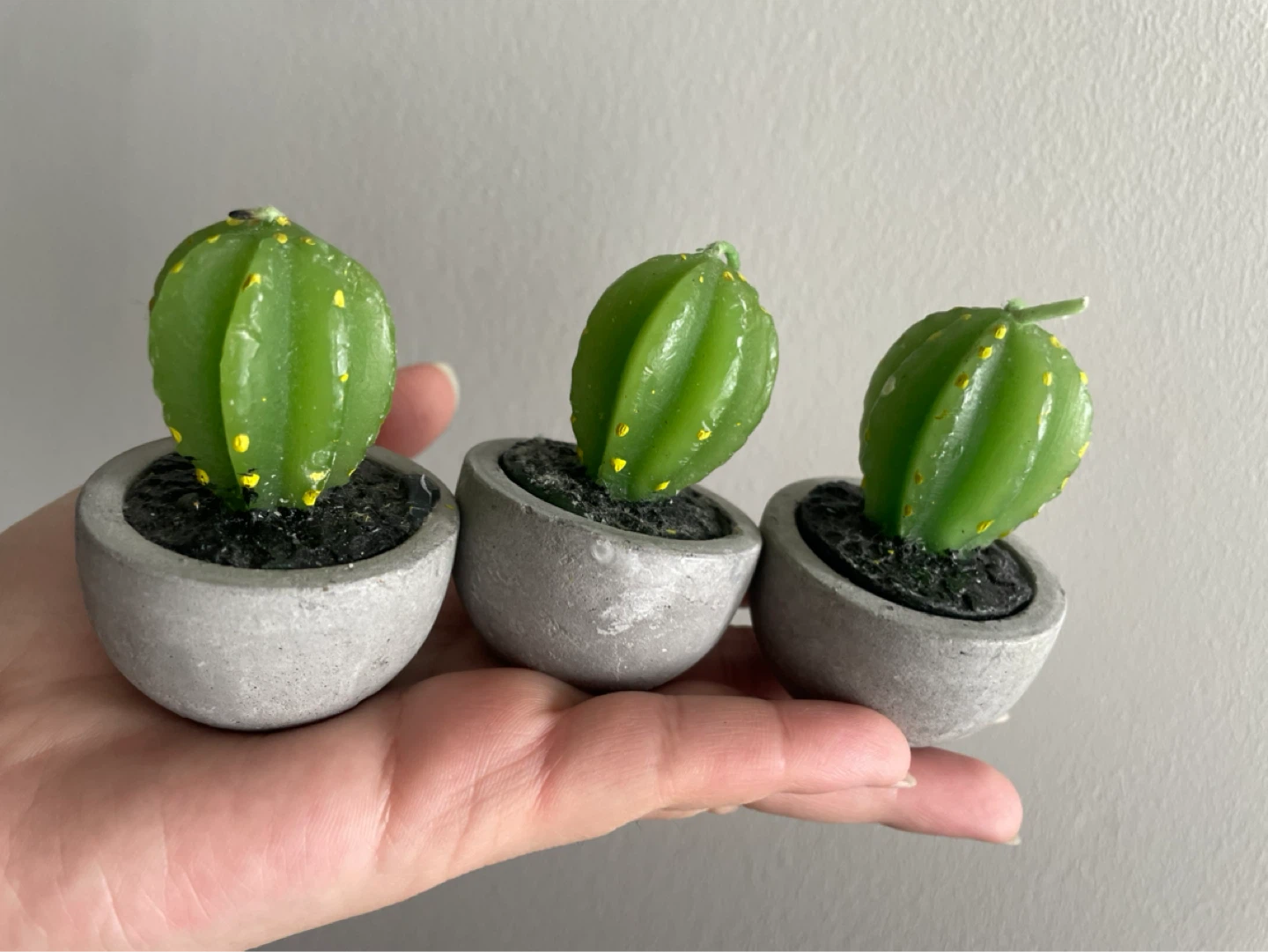 Cactus Potted Candles Set of 3