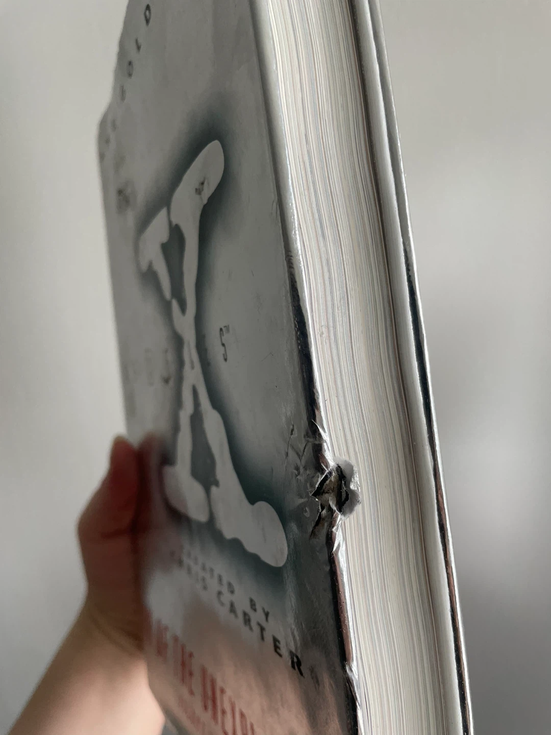 The X-Files Book of the Unexplained Volume Two - photo 2