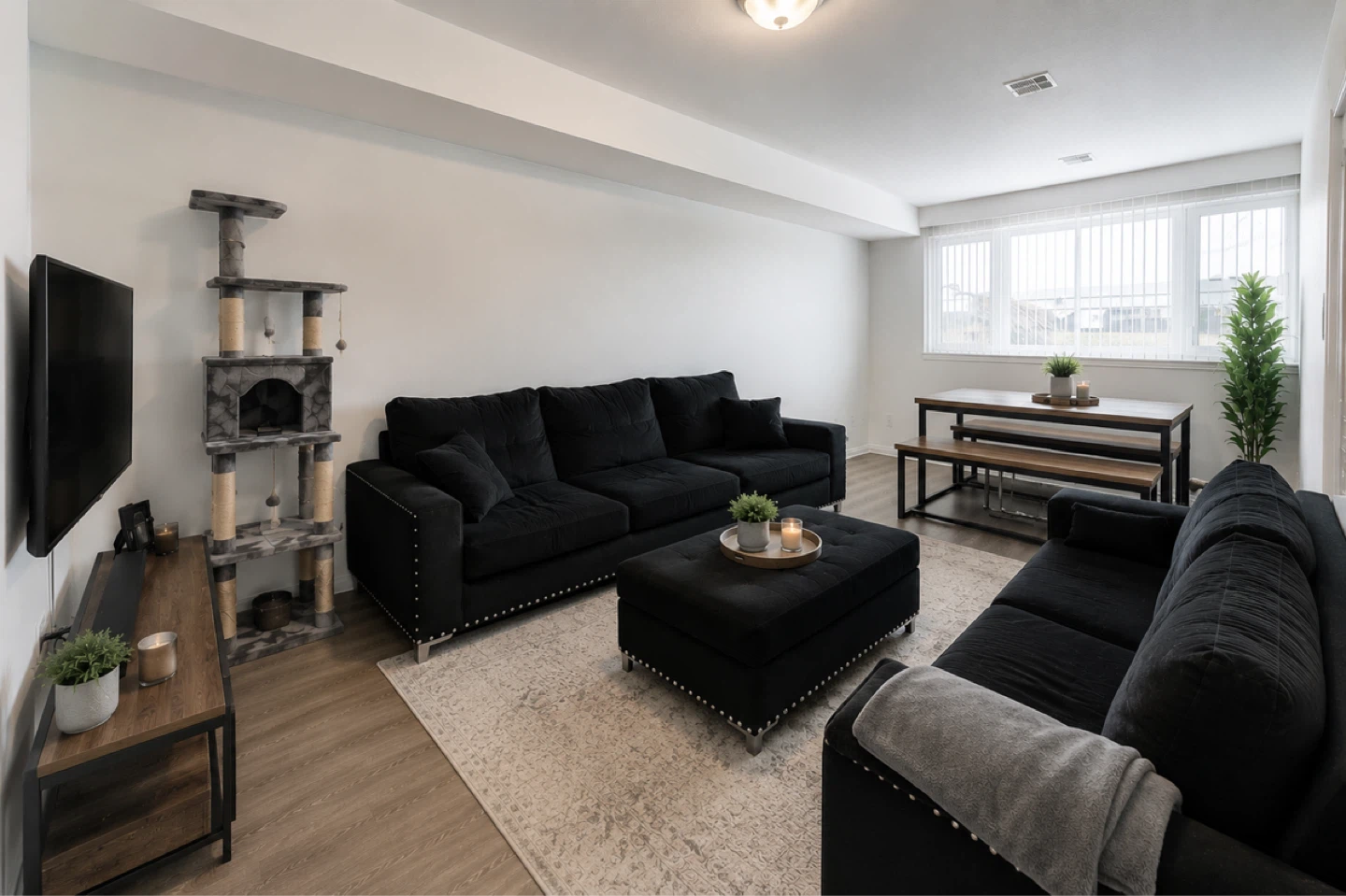 Room for rent $899 female only - photo 2