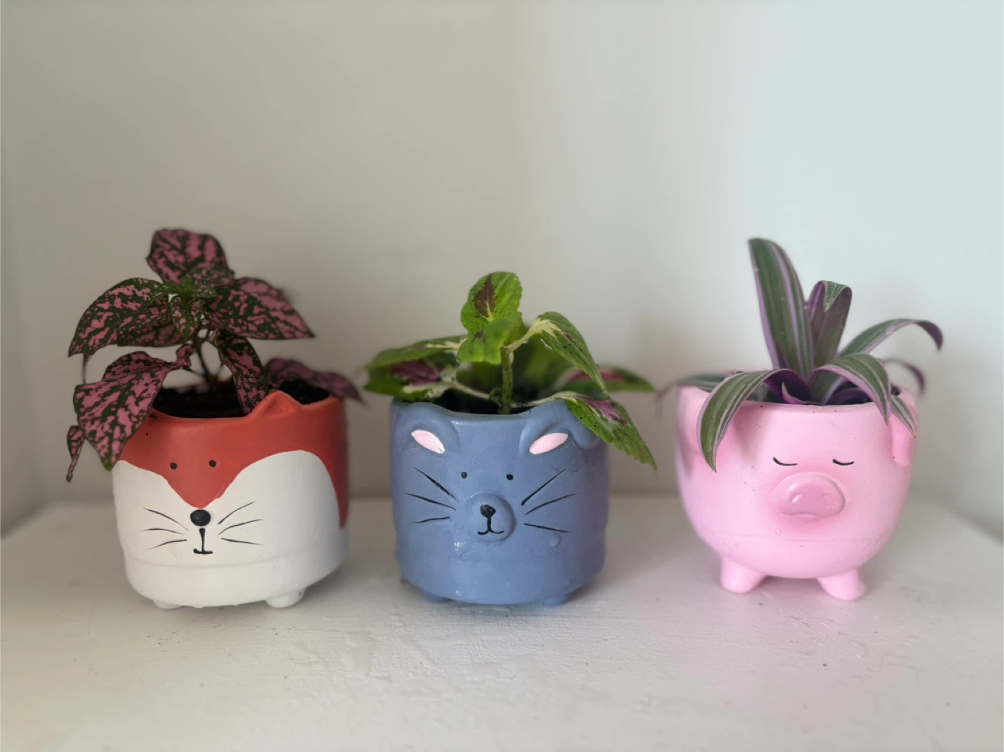 Cute, Colorful, and Full of Life! 🦊🐭🐷