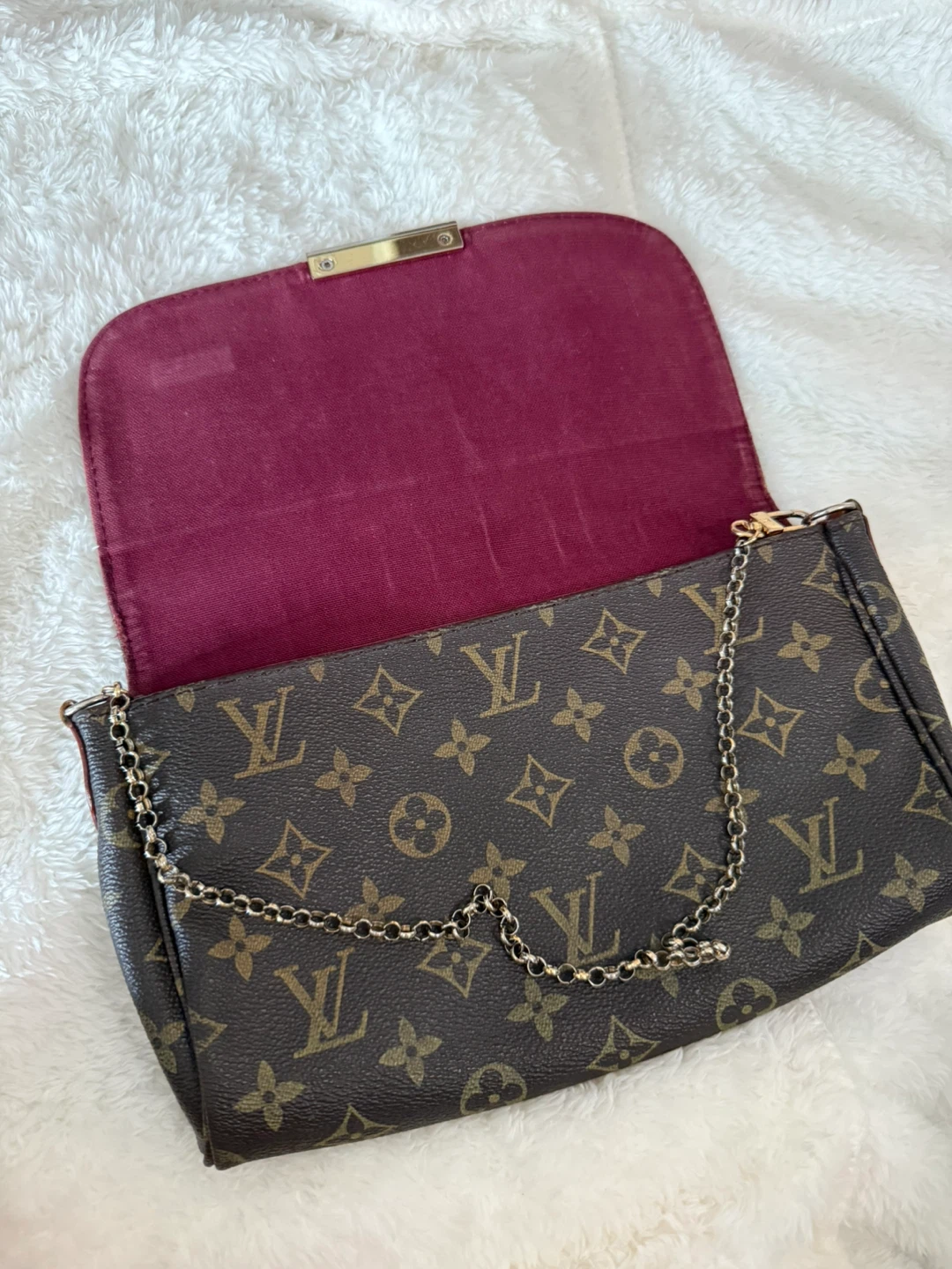Louis Vuitton Favorite Monogram Clutch/ Shoulder Bag - photo 2