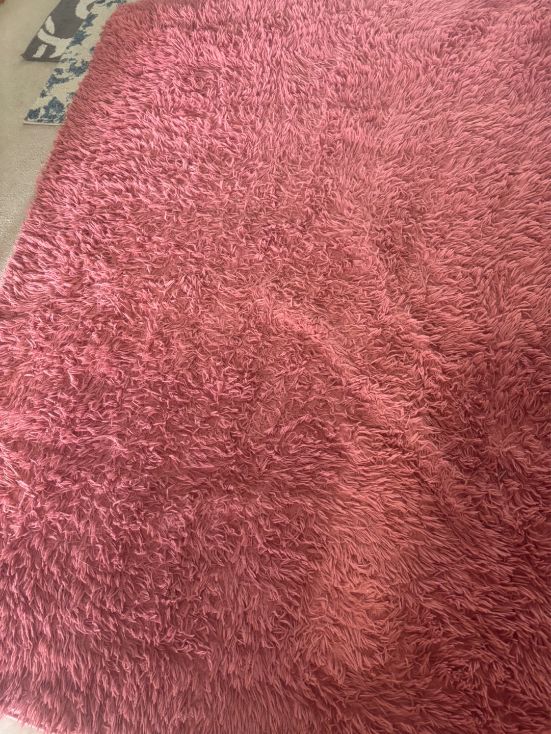 Shaggy Rose Pink Area Rug