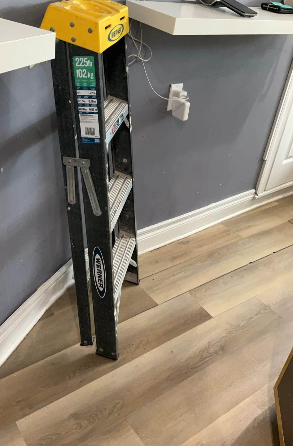 Werner 4ft Ladder