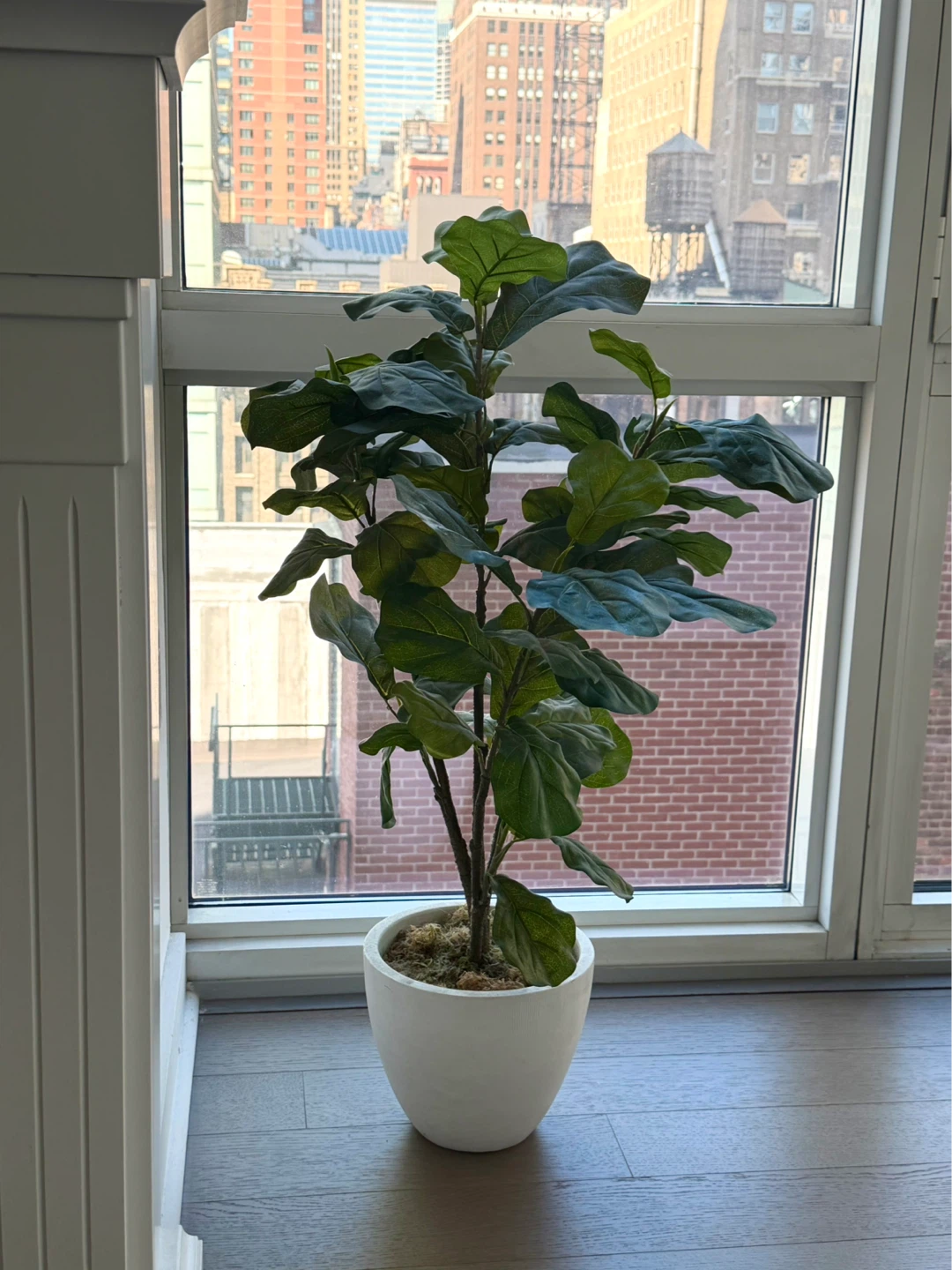 Faux Fiddle Leaf Fig Tree in White Planter