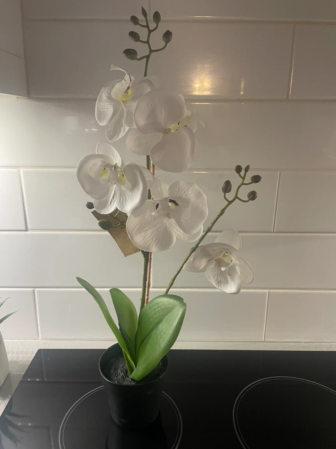 NEW! White Artificial Orchid Plant
