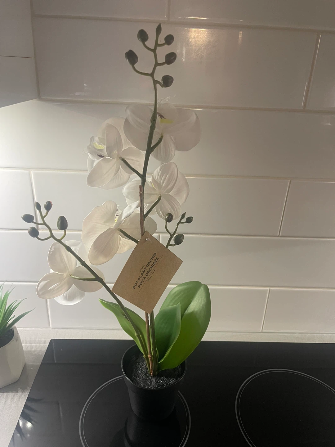NEW! White Artificial Orchid Plant - photo 2