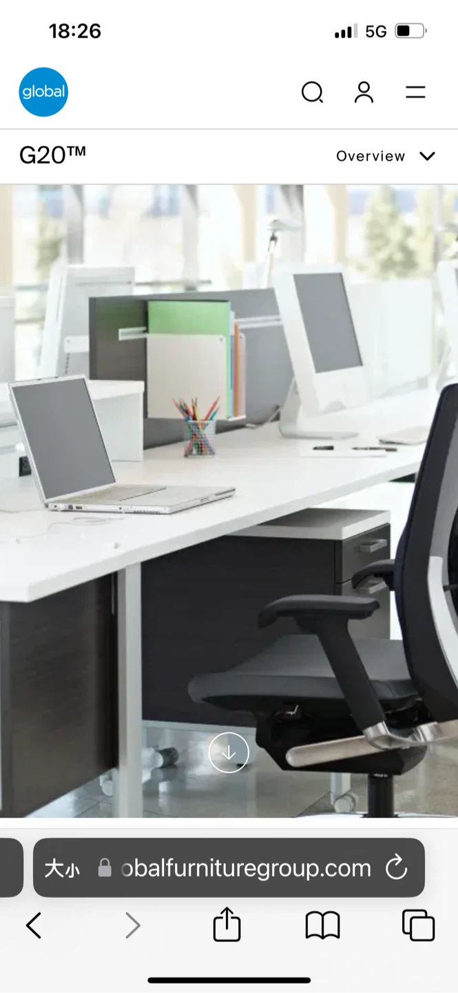G20 Office Chair, Ikea chair and support pillow - photo 2