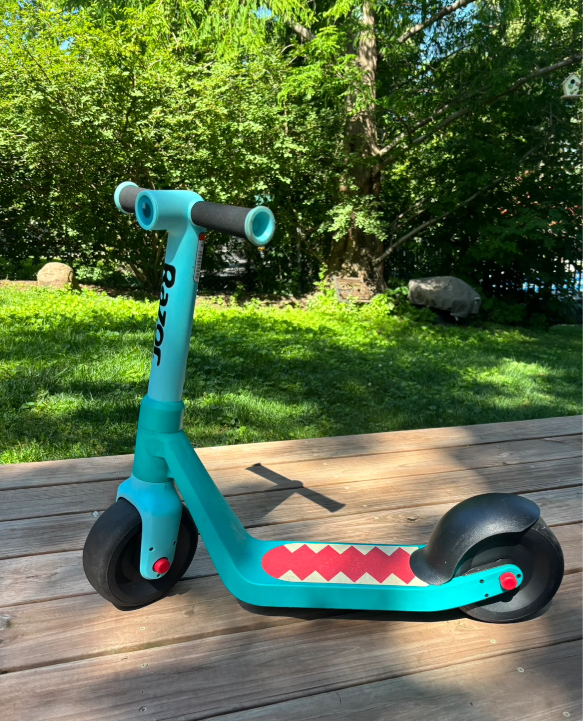 Razor Toddler Scooter