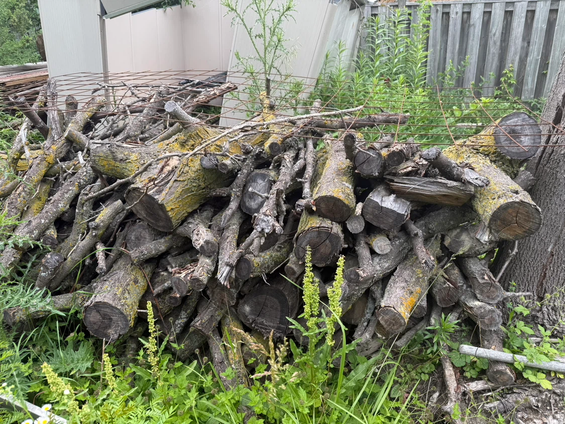 Pile of firewood and branches - photo 2