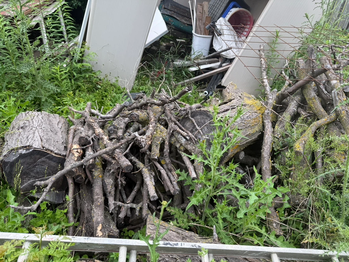 Pile of firewood and branches - photo 3