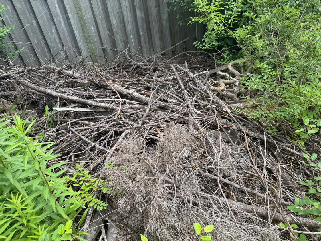 Pile of firewood and branches - photo 4