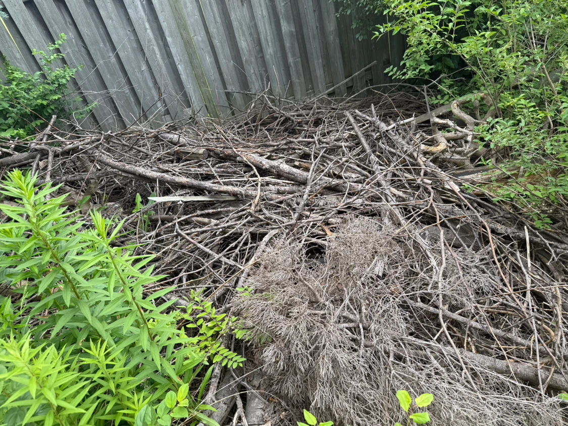 Pile of firewood and branches - photo 5