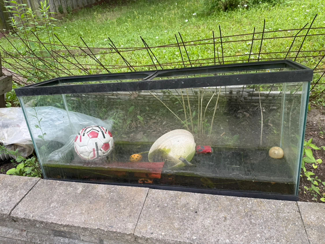 Large Glass Aquarium Tank