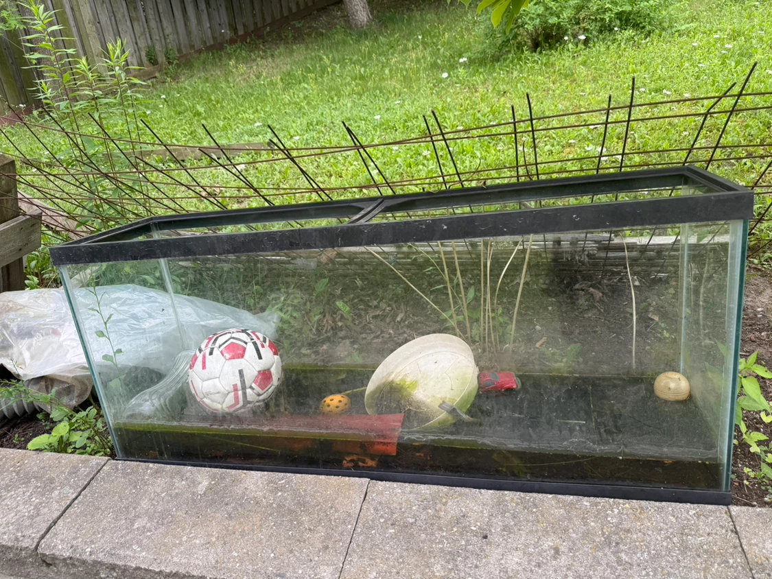 Large Glass Aquarium Tank - photo 2
