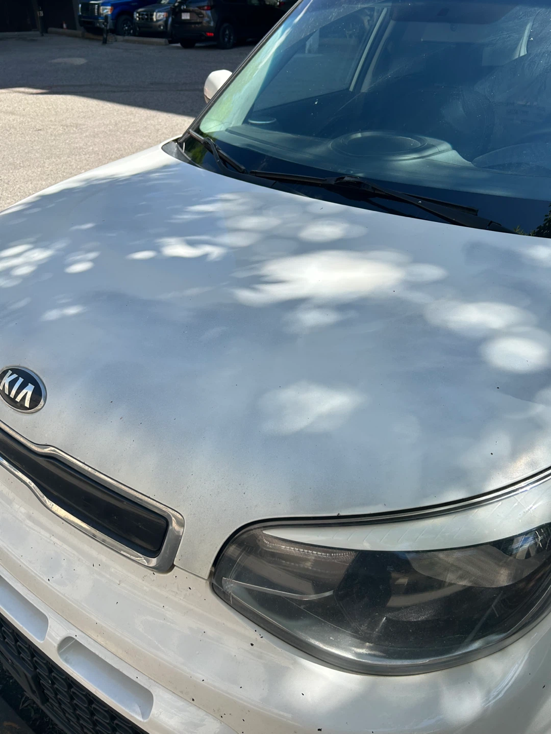 2016 White Kia Soul - photo 5