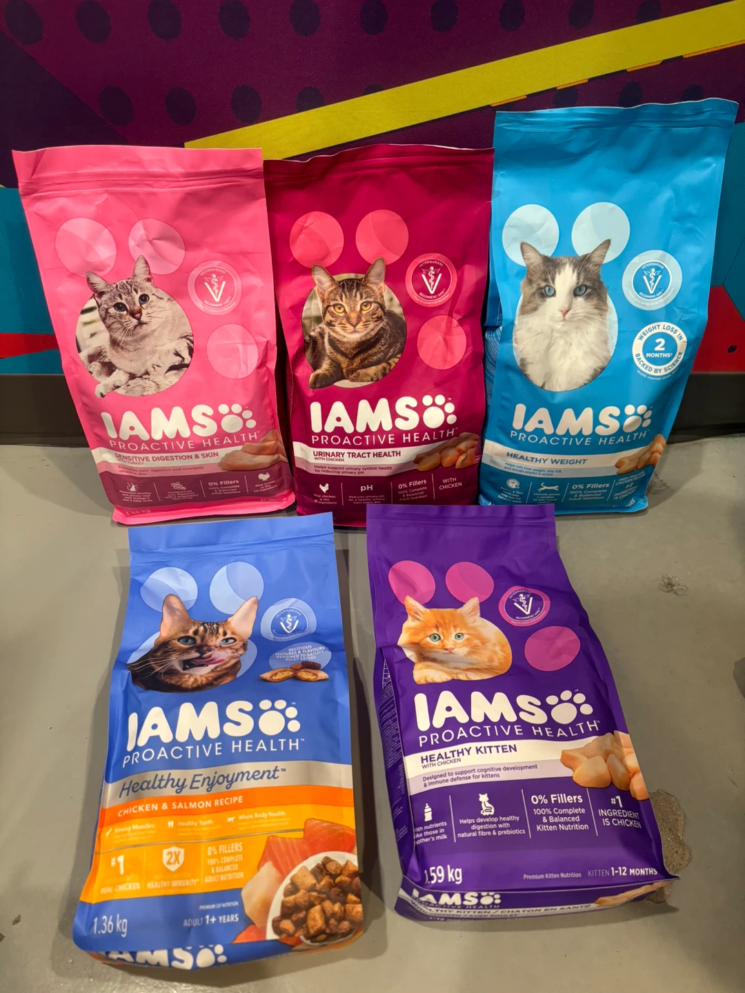 Brand new Iams cat food -$5 each