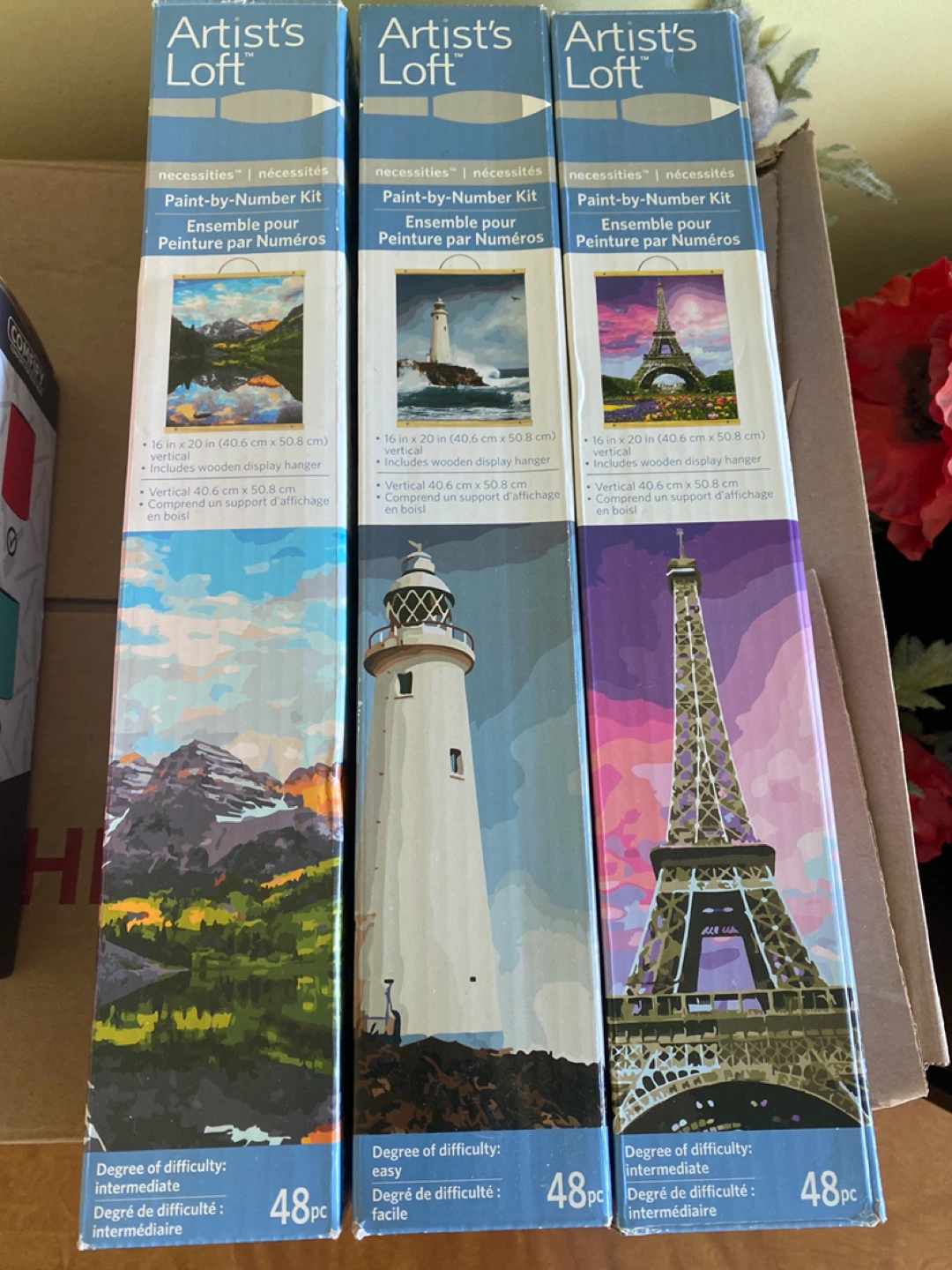 Artist's Loft Paint-by-Number Kits (3 Count)
