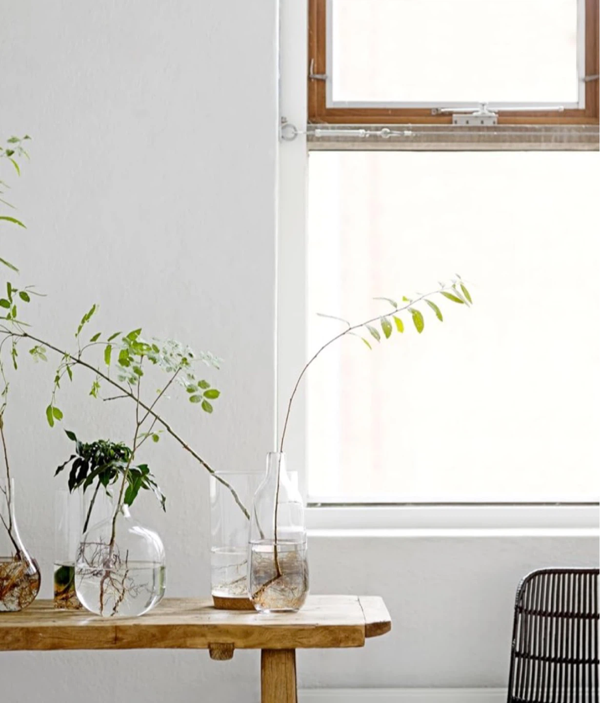 Clear Glass Vase - 8.25"x 7" - photo 3