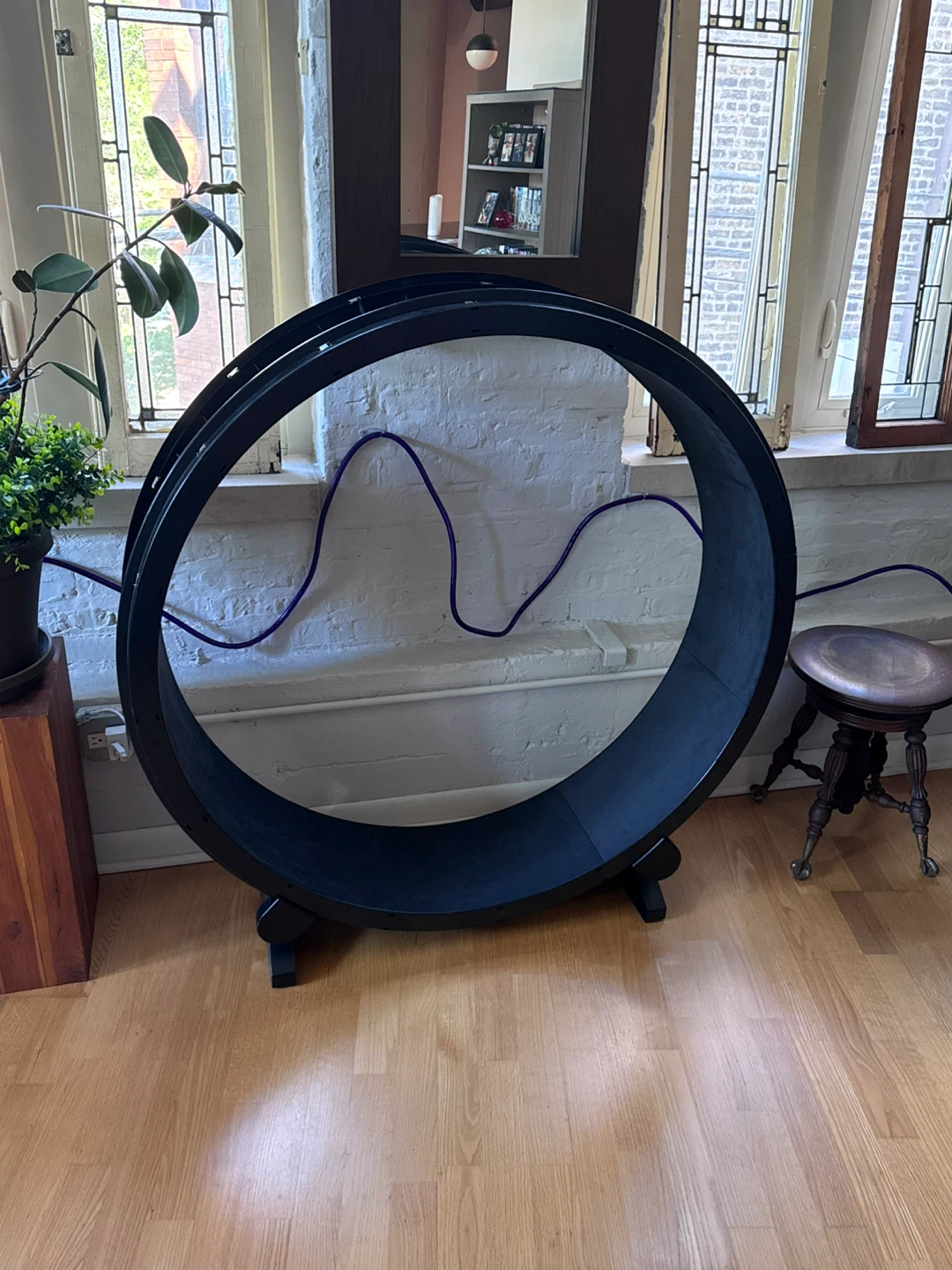 Large Black Cat Exercise Wheel