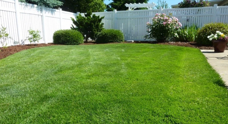 Lawn Care and Property Services - photo 2