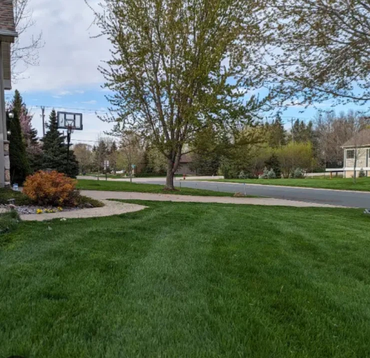 Lawn Care and Property Services - photo 3