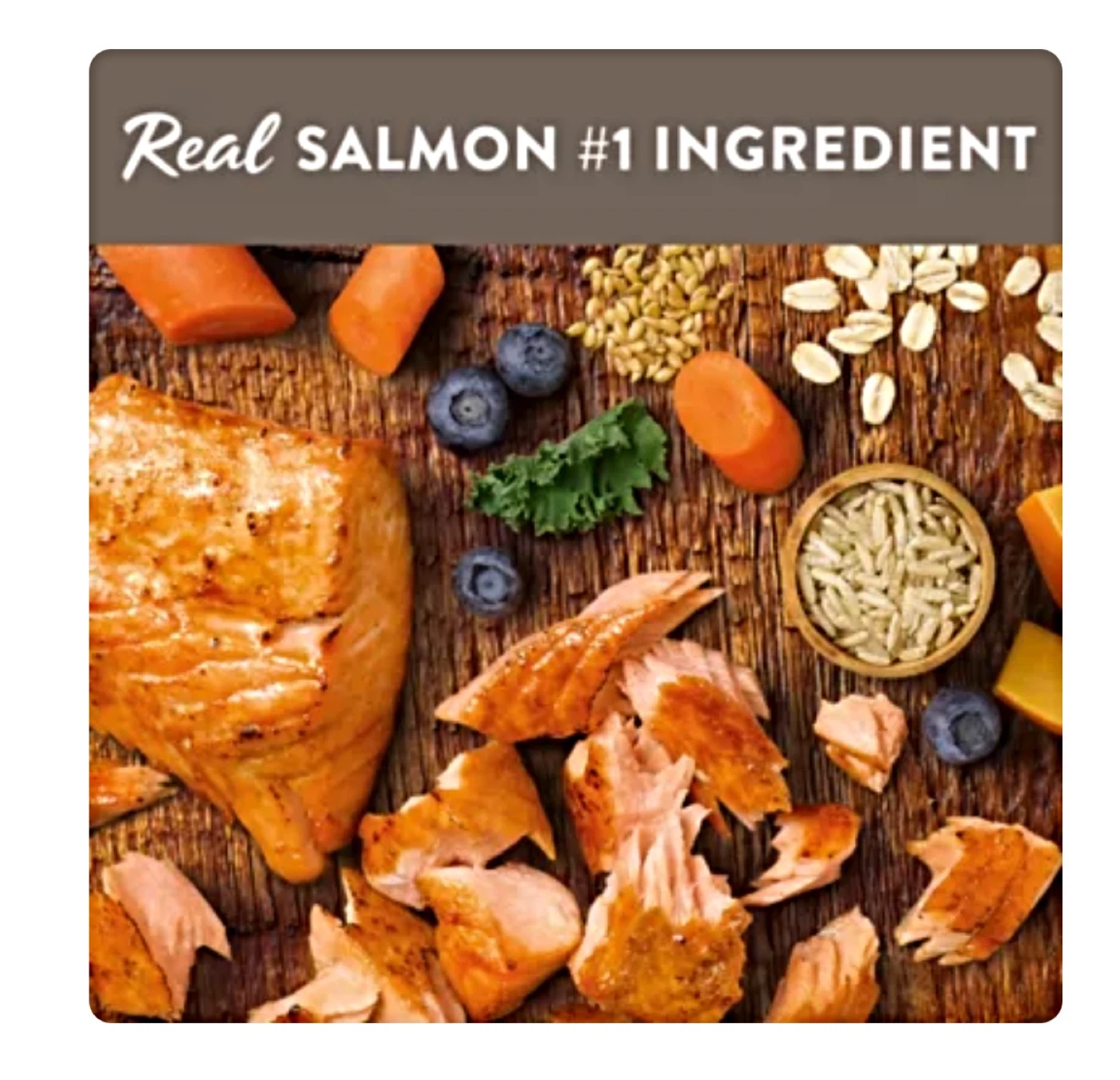 Simply Nourish Puppy Salmon & Brown Rice Recipe Dog Food - photo 2