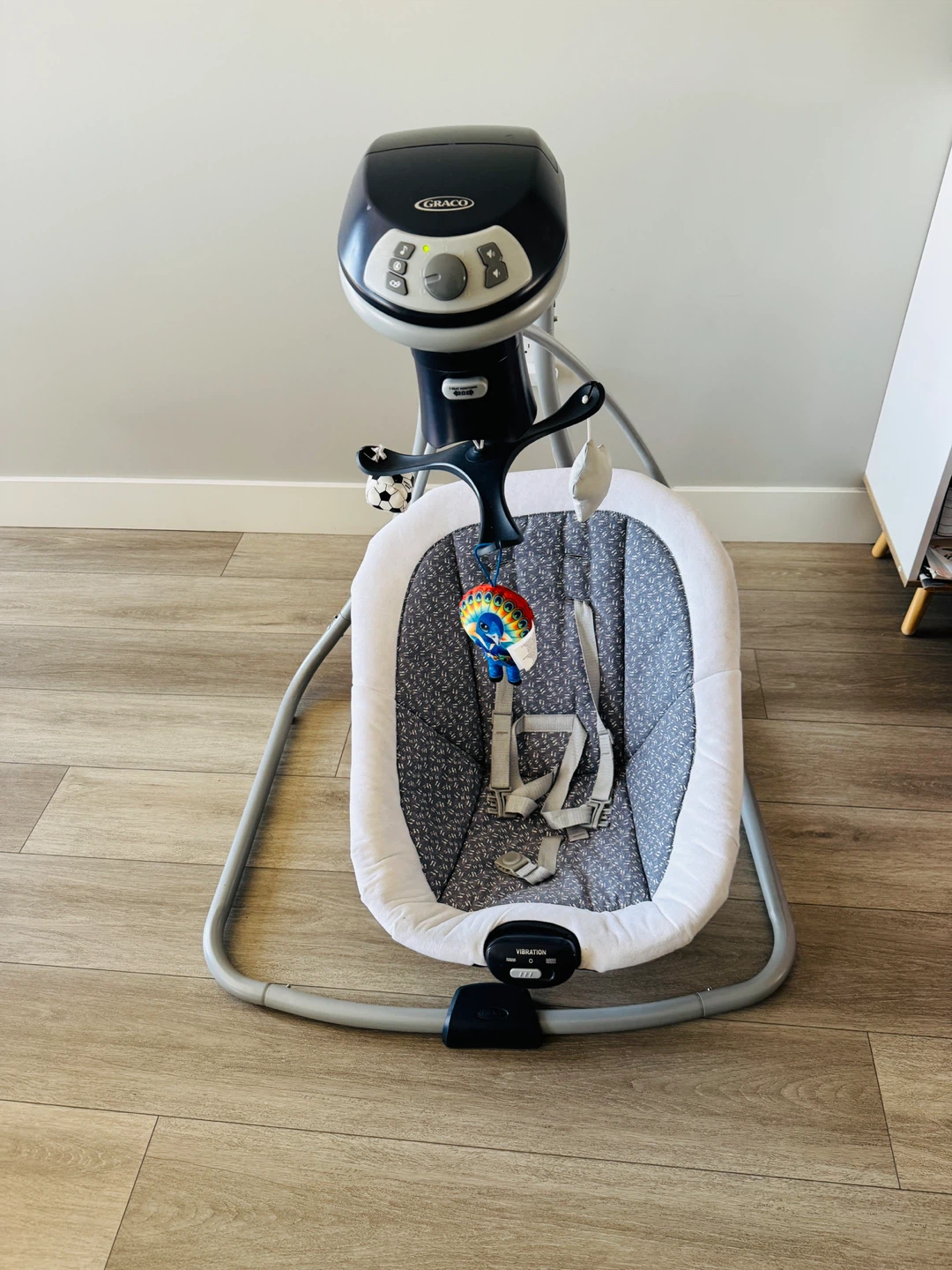 Graco Baby Swing