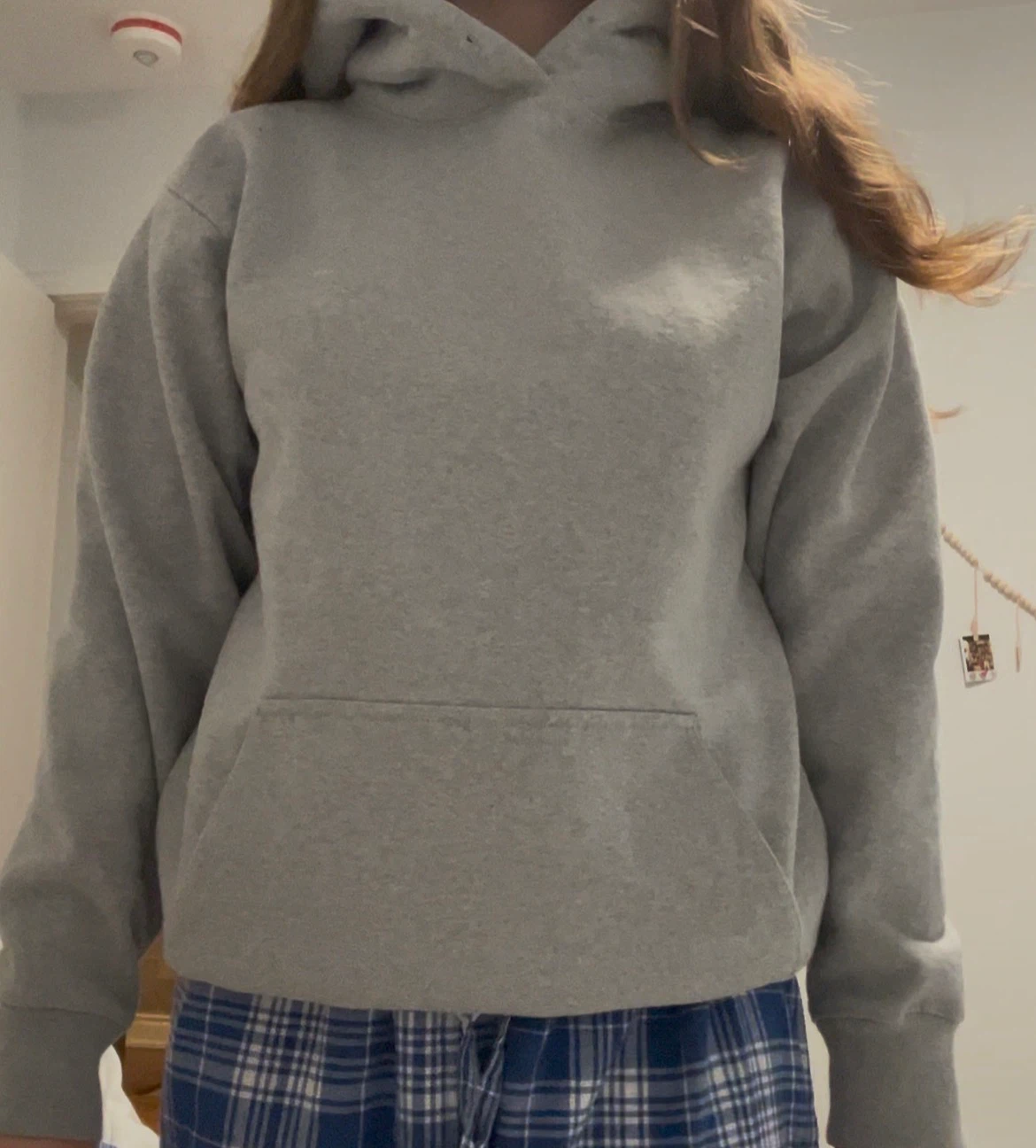 Grey Brandy Melville Hoodie - photo 3