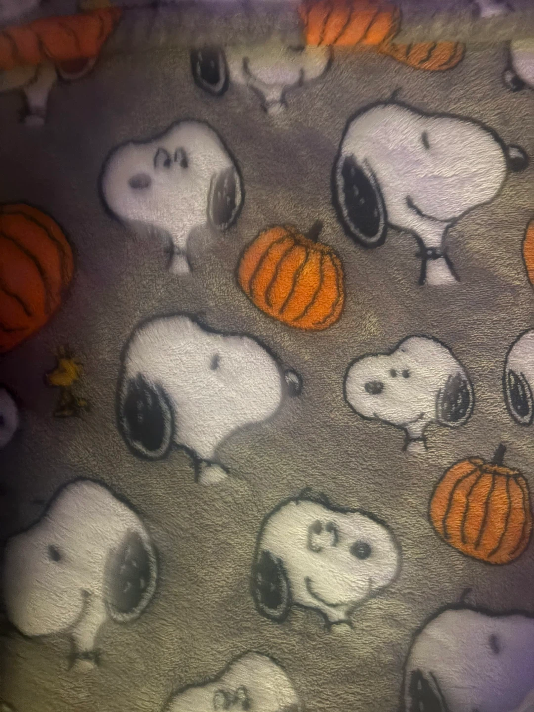 Snoopy Fleece Blankets - photo 2