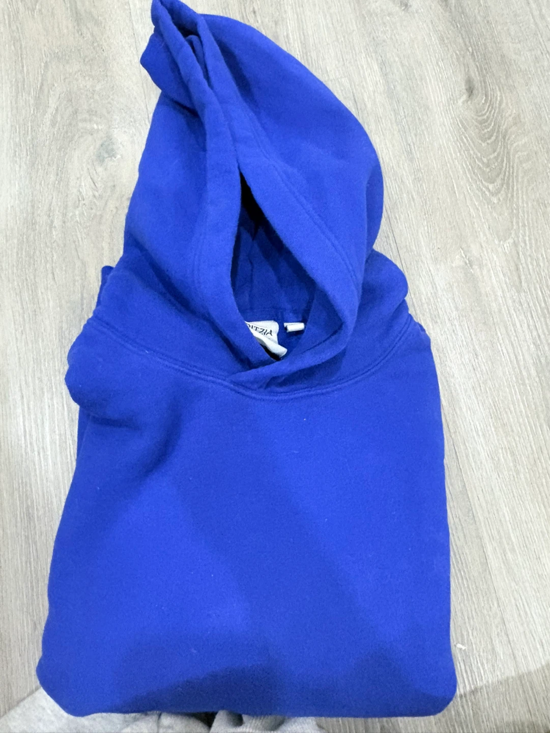 ARITZIA Blue Hoodie