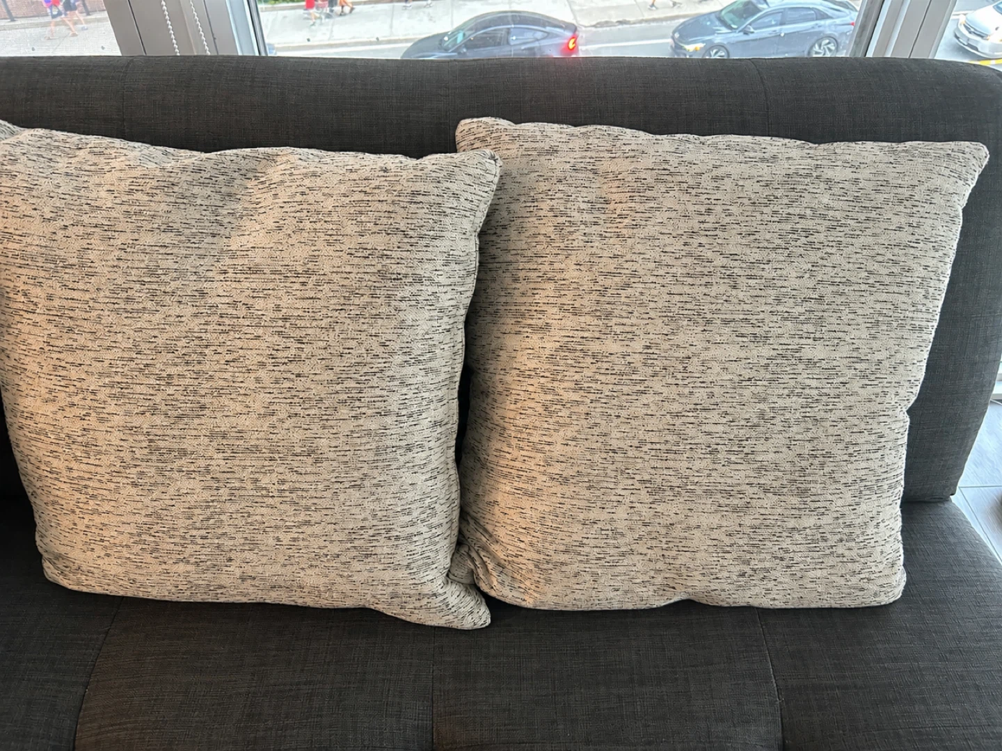 Decorative Throw Pillows (Set of 2)
