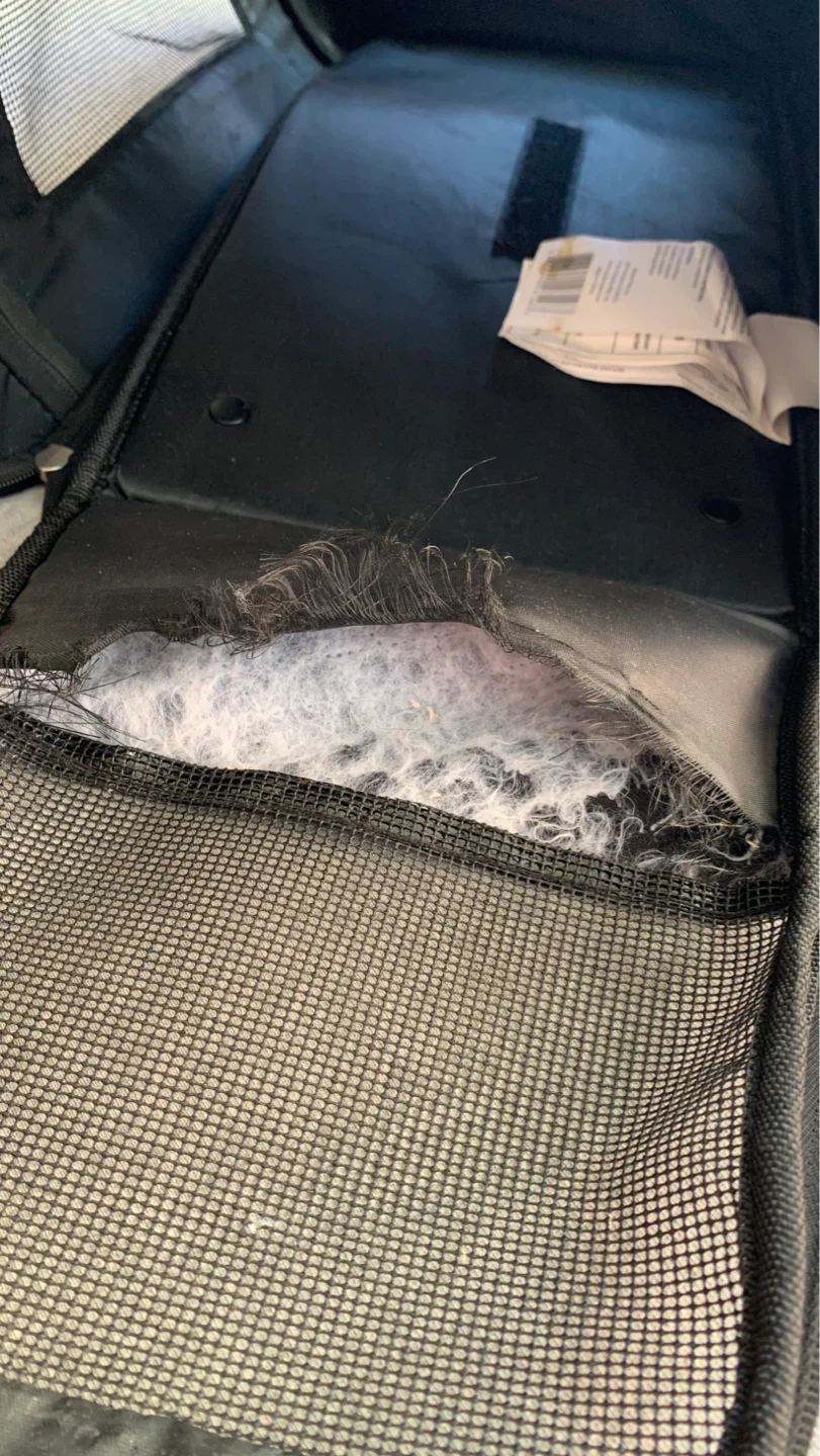 Medium Size Pet Carrier - NOTE WEAR ON INSIDE BASE - photo 5