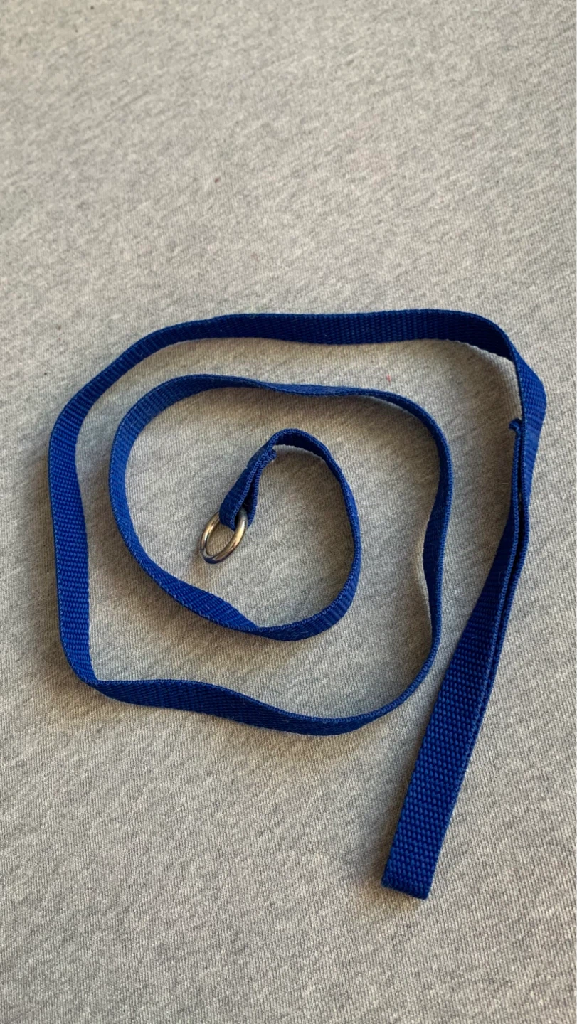 48” Blue Slip Lead Leash - photo 2