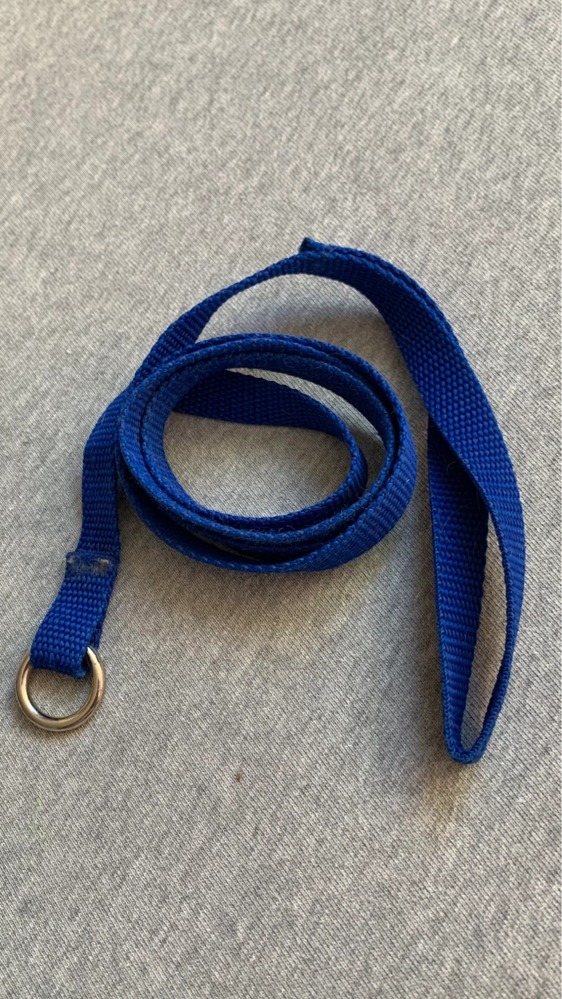 48” Blue Slip Lead Leash