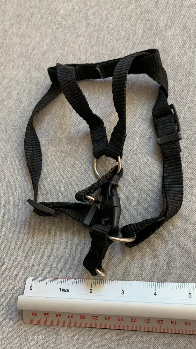 Small Black Dog Harness