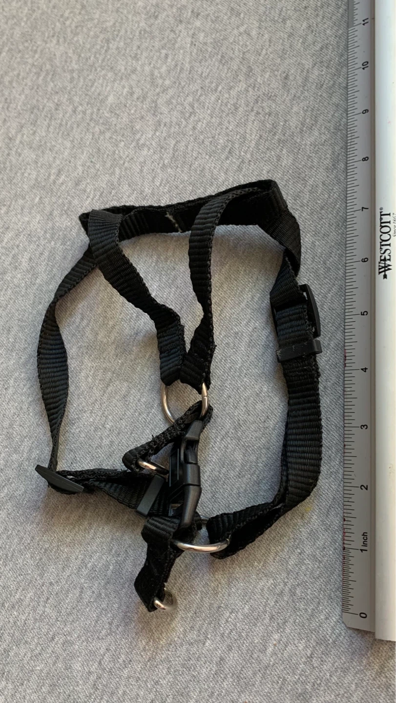 Small Black Dog Harness - photo 3