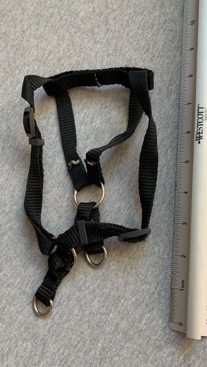 Small Black Dog Harness - photo 2