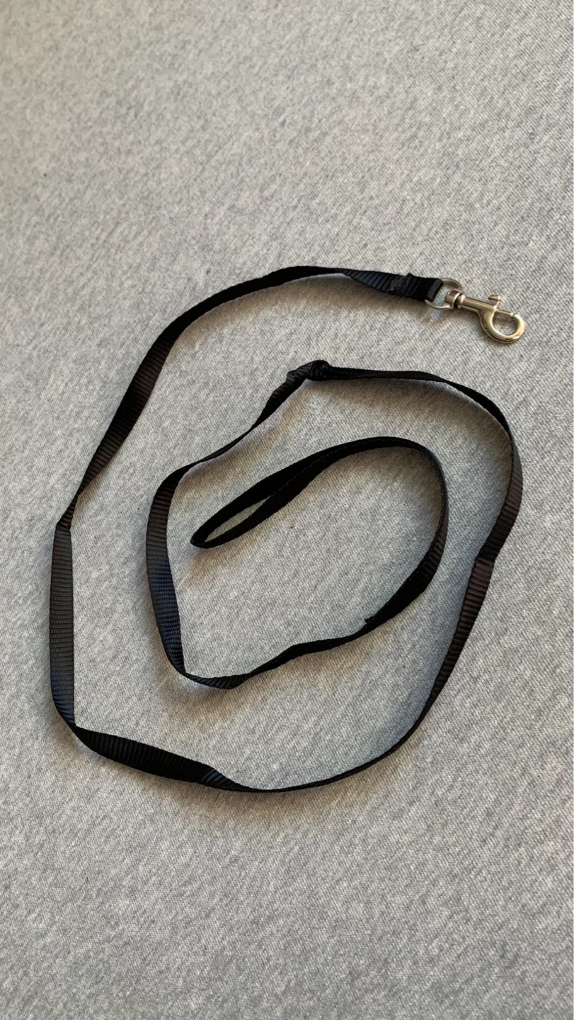 48” Black Dog Leash for Small Animal