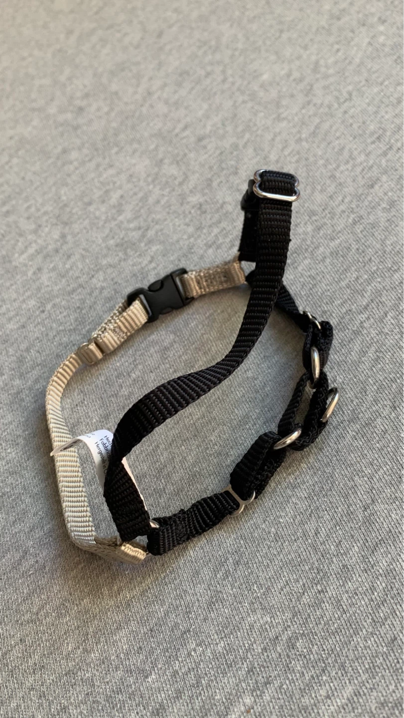 Easy Walk XS Dog Harness