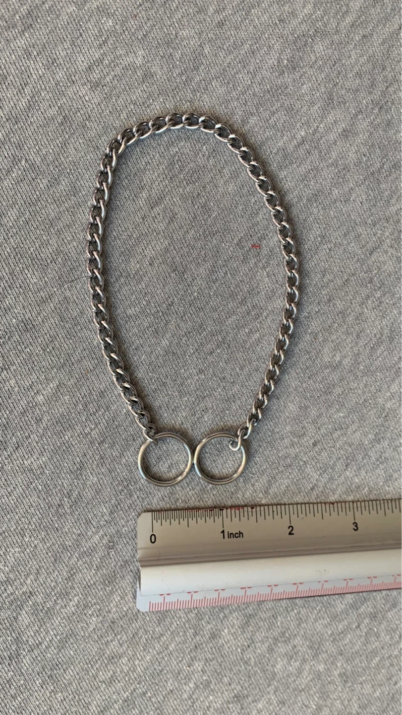 Small Metal Chain Dog Collar